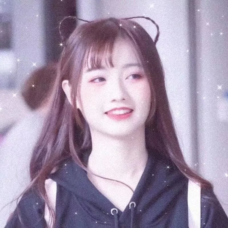 大象与小蝶物语